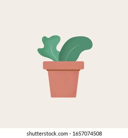 Plants and Flowers in pots, illustration style vector of flowers, plants, leaves, bird of paradise, cactus.