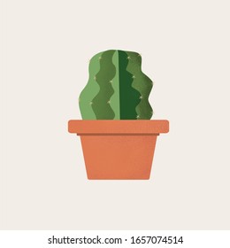 Plants and Flowers in pots, illustration style vector of flowers, plants, leaves, bird of paradise, cactus.