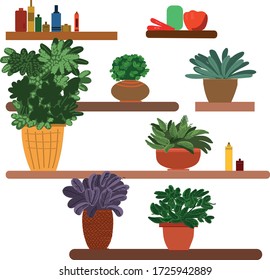 Plants and flowers in pots on the shelves, vector flat illustration, concept of the plans and flowers store or home comfort