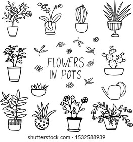 plants and flowers in pots set of elements in hand drawn style. simple liner doodle scandinavian.