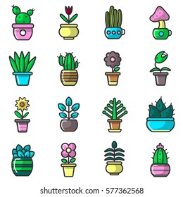 Plants and flowers in pots vector collection of sixteen elements on white. Vector poster of various types of cactus and blooming flowers with green stems and leaves that grow in houses on windows