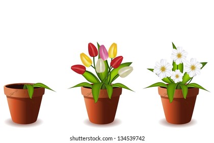 Plants in flowers pot.Vector illustration.