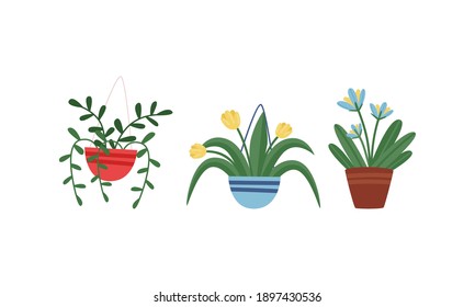 Plants and Flowers Rested in Ceramic Pot Vector Set