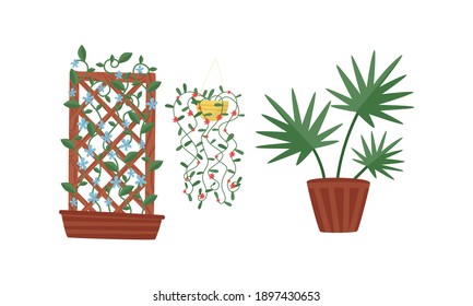 Plantas y flores depositadas en el conjunto de vectores de maceta cerámica
