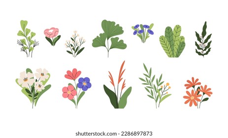 Plants and flowers, romantic bouquets and home garden green. Isolated flat nature decorative elements, organic blossom flower vector clipart