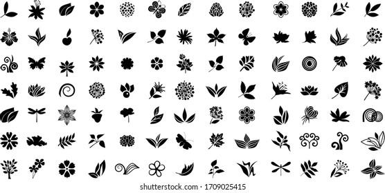 Plants and flowers series, black and white set