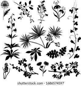 Plants and flowers series, vector illustration