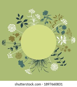 Plants and flowers series, vector illustration