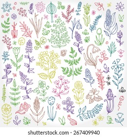 Plants and flowers set