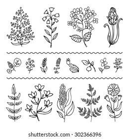 Plants and flowers set