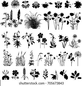 Plants and flowers set