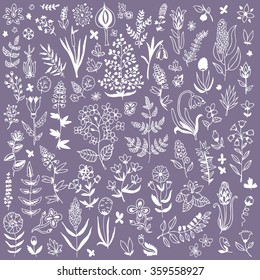 Plants and flowers set. Endless texture for wallpaper, fill, web page background, surface texture.