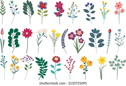 plants flowers set flat design, isolated