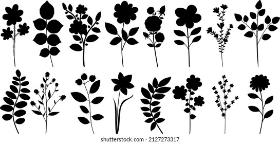 plants, flowers set silhouette on white background