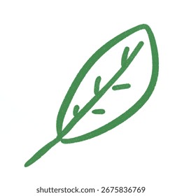 Plants and Flowers	simple vector
