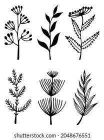 Colección vectorial de plantas y flores. Doodles dibujados a mano. Ramas con hojas, hierbas con inflorescencias y semillas. Concepto monocromo para la decoración y el diseño de tarjetas, artículos de papelería, textiles.