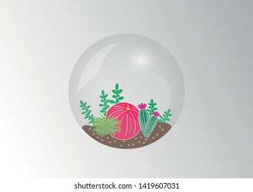 plants found in terrarium. Terrarium plant ornament.