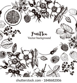Plants Fruit Tea Graphic decorative bagkground. Flowers, buds, fruits, leaves, branches. Vector illustration. Manual graphics.