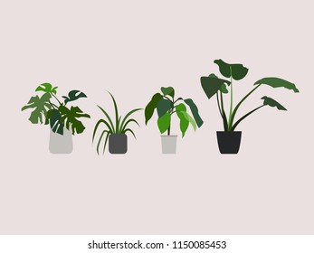 Plants Graphic 3