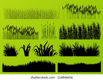 Plantas, grama e flores silhuetas detalhadas coleção ilustração fundo vetor