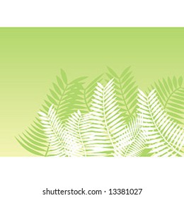 plants green background