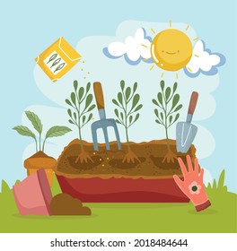 plants in ground with gloves and tools