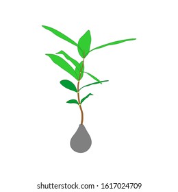 Plants grow from seed. simple design