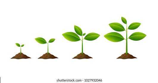 Plants growing in the ground isolated on white background - Shutterstock ID 1027932046