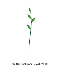 Plants growing in the ground. Phases plant growing.