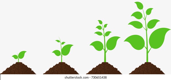 Plants growing in the ground. Vector illustration.
