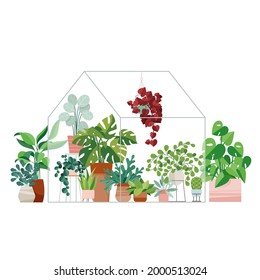 Plants growing in pots or planters inside glass greenhouse. Full Vector Flat Style Illustration