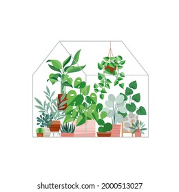 Plants growing in pots or planters inside glass greenhouse. Full Vector Flat Style Illustration