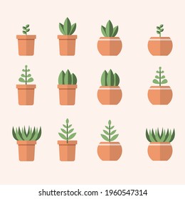 Plants growing in pots. Vector illustration