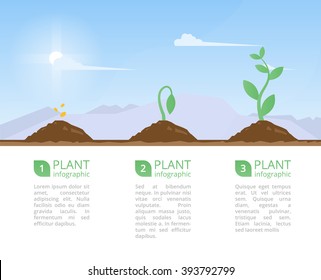 Plants Growing set and infographic with planting process plants.Plants growth on mountain landscape.