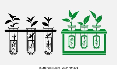 Plantas que crecen en tubos de ensayo en rodales, uno negro y otro verde, mostrando diferentes etapas de crecimiento.