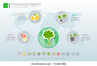 Plants growing timeline infographic with icons set, Save the world and go green concept, ecology, friendly diagram template, Used for applied guide to process and planting design. 