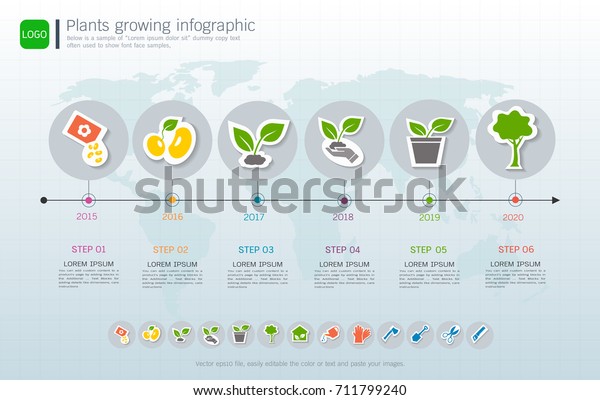 Plants Growing Timeline Infographic Icons Set Stock Vector (Royalty ...