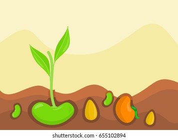 Plants growing from under ground colorful vector illustration in flat design. Vegetables giving stems and leaves on land.