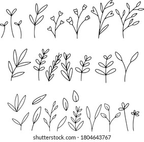 Plants hand drawn doodle cute flower