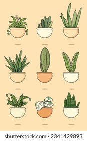 Plants hanging in ceramic pot collection