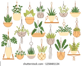 Plantas colgando ollas. Perchas decorativas hechas a mano de macrame para maceta de flores, plantas colgando interiores. Plantar flores, macetas plantares decoración jardín aislados iconos vectoriales aislados conjunto