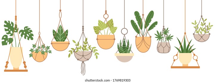 Plants in hanging pots. Set of plant hang on rope, houseplant garden, flowerpot grow, vector illustration