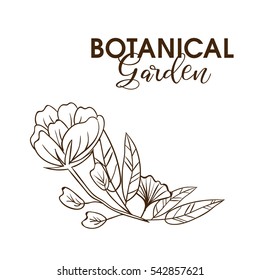 Plants and herbs background