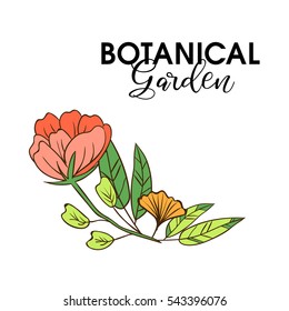 Plants and herbs background