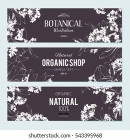 Plants and herbs banners set