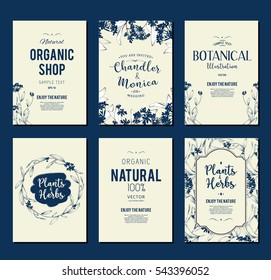 Plants and herbs banners set