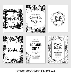 Plants and herbs banners set