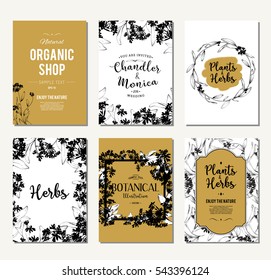 Plants and herbs banners set
