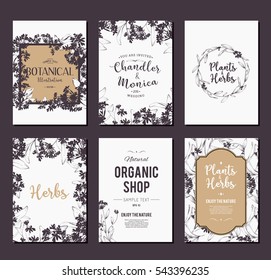 Plants and herbs banners set