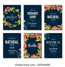 Plants and herbs banners set